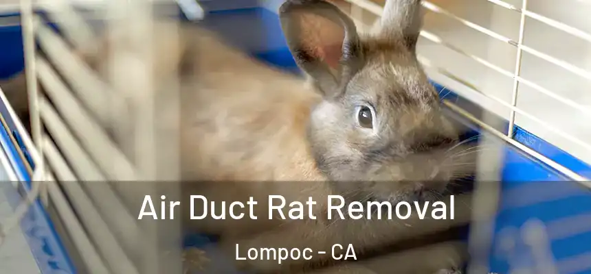  Air Duct Rat Removal Lompoc - CA