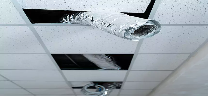 Affordable HVAC Sanitizing After Pest Removal in Lompoc