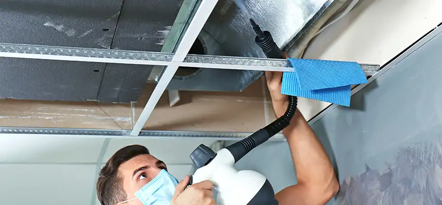 Our Air Duct Rodent Removal Services in Lompoc, CA