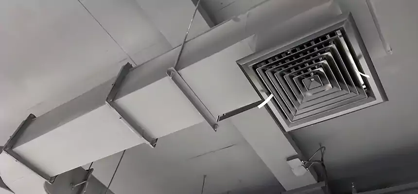 Restorative Allergy Relief Vent Cleaning – Coil, Blower & Housing Detail in Lompoc