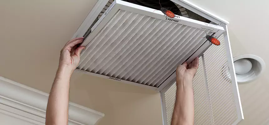 Our Insect Removal from Air Ducts Services in Lompoc, CA