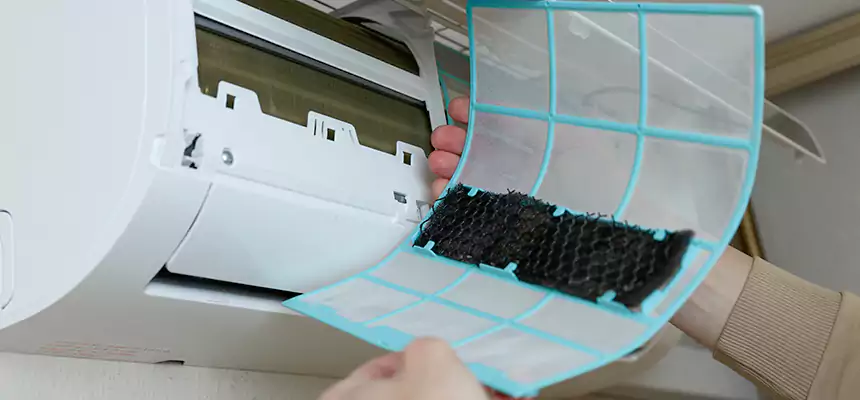 Gentle Ductwork Odor-Control Pet Dander Duct Cleaning in Lompoc, CA