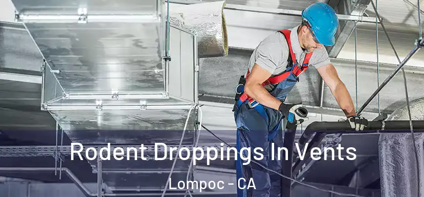  Rodent Droppings In Vents Lompoc - CA