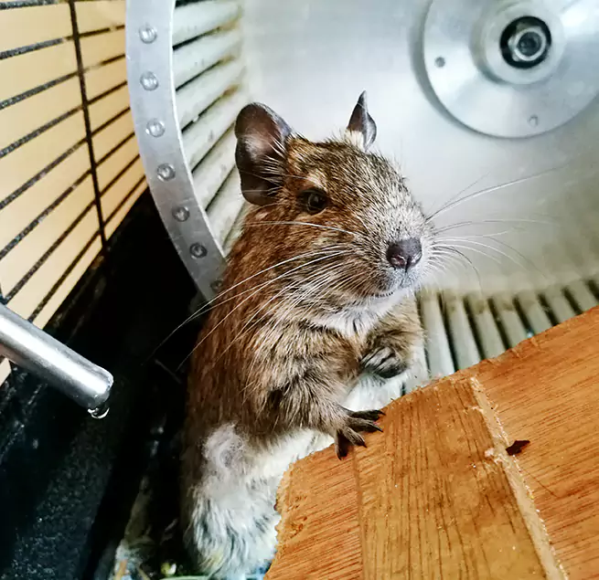 Why Homeowners & Businesses Trust Us Lompoc, CA?