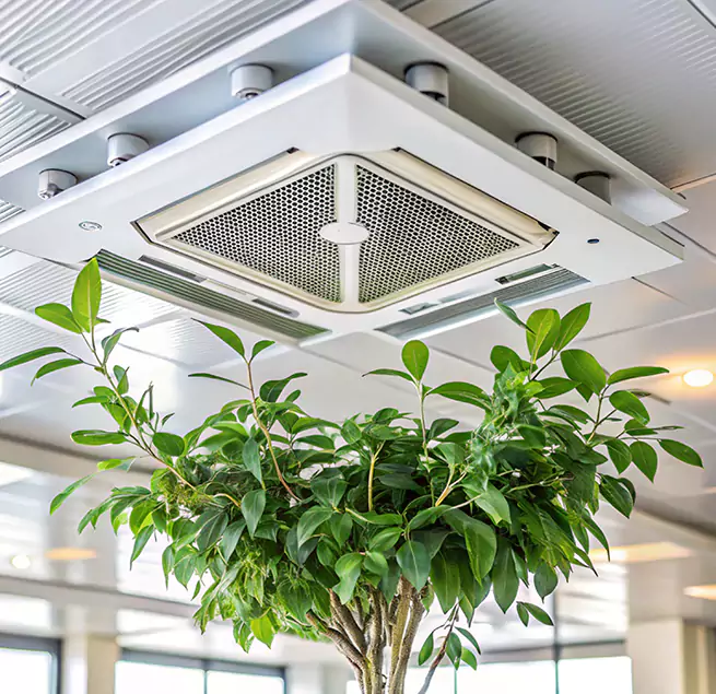 Why Homeowners & Businesses Trust Us in Lompoc, CA